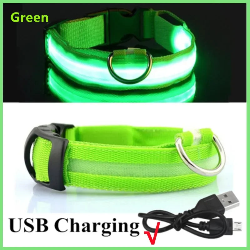 Collier lumineux LED rechargeable pour chien et chat – 3 modes d’éclairage, sécurité nocturne