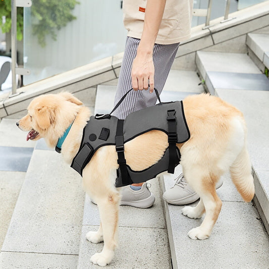 Harnais d’Assistance pour Chien aux Pattes Faibles