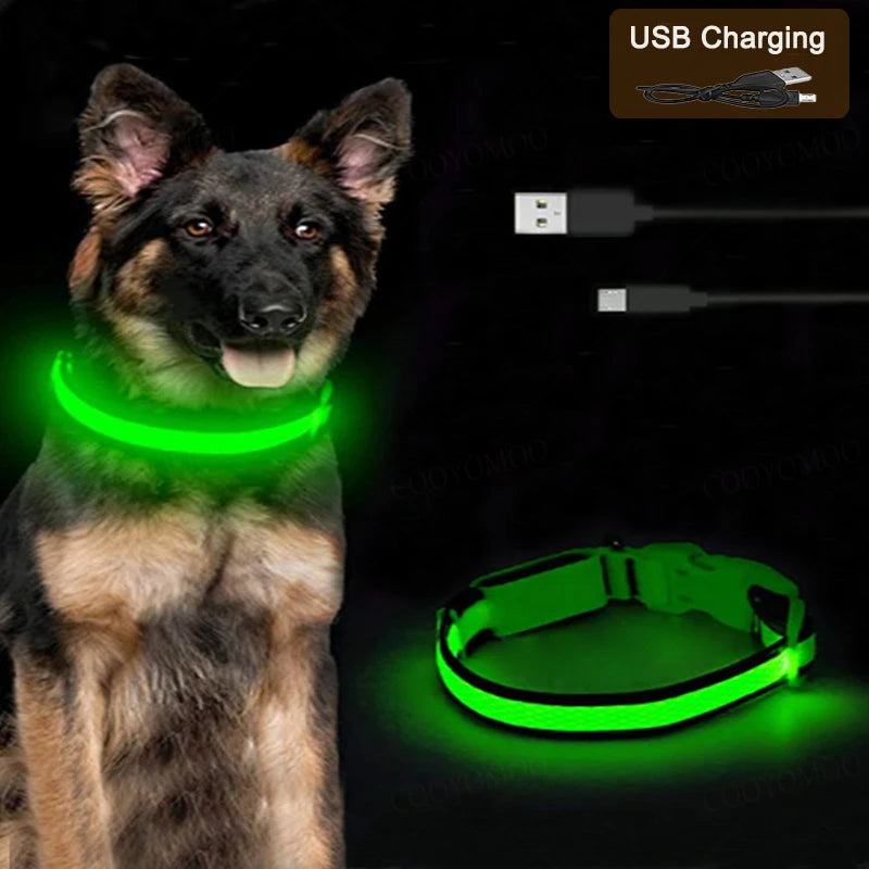 Collier lumineux LED rechargeable pour chien et chat – 3 modes d’éclairage, sécurité nocturne

